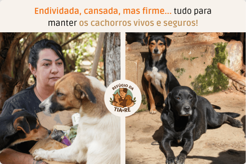 Salve o Abrigo